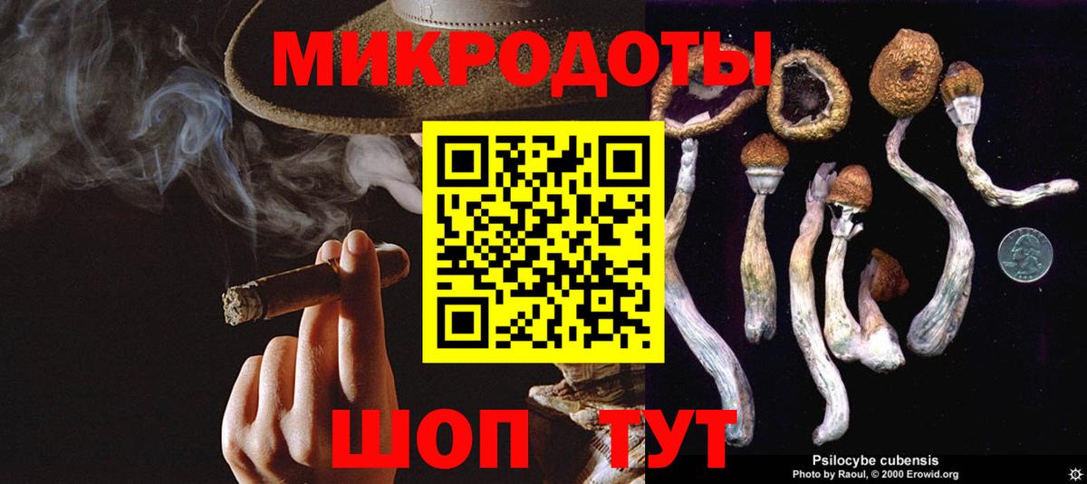 Галлюциногенные грибы мухоморы Волжск